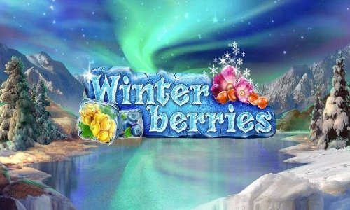 Cлот Winter Berries